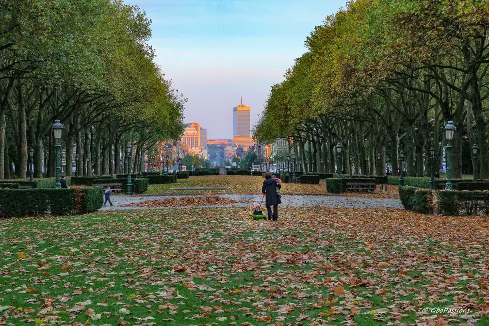 Carnets de Balades - Parc Elisabeth Bruxelles en automne  | GBopassions Photos