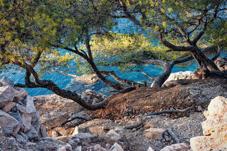 Photo : Carnets de Balades -  Calanque de Port Pins