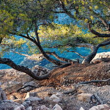 Photo : Marseille Cassis et les-Calanques -  Calanque de Port Pins