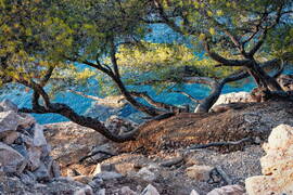 Calanque de Port Pins