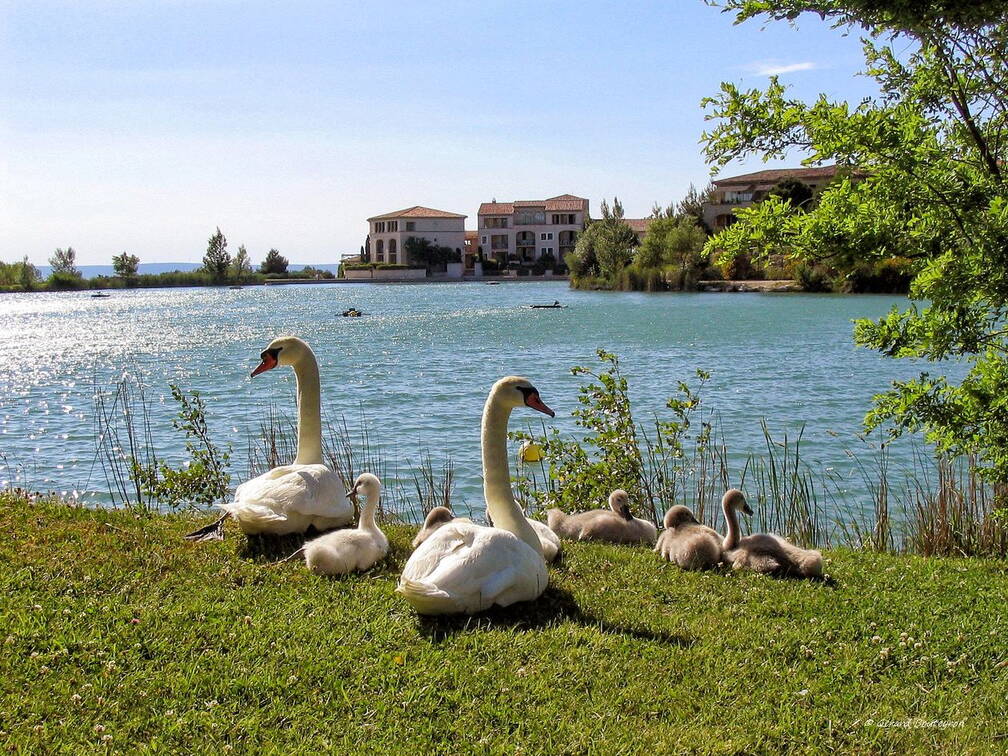 Photo : La Faune et la Flore -  Sortie en famille