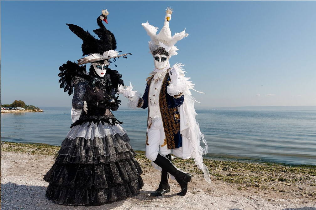 Photo : Martigues en photosPhotos des  Flaneries au miroir - Le lac des cygnes ? Deux cygnes un blanc et un noir paradent en bordure  de l'étang de Berre.