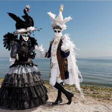 Photo : Photos des  Flaneries au miroir -  Le lac des cygnes ?