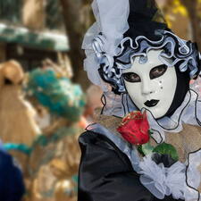 Photo : Martigues en photos -  Pierrot à la rose aux bords dorés