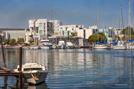 Photo : Photos de la ville de Martigues -  La mairie de Martigues côté Canal