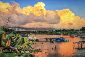 Photo : GBopassions Photos -  Les renaires à Martigues