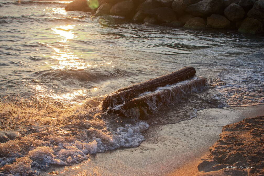 Photo : Accueil - Sunset et Bois Flotté Dans l'anse de la Beaumaderie entre la Couronne et Sausset les Pins prés des anciennes carrières de pierre.