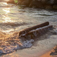 Photo : Paysages en couleur -  Sunset et Bois Flotté