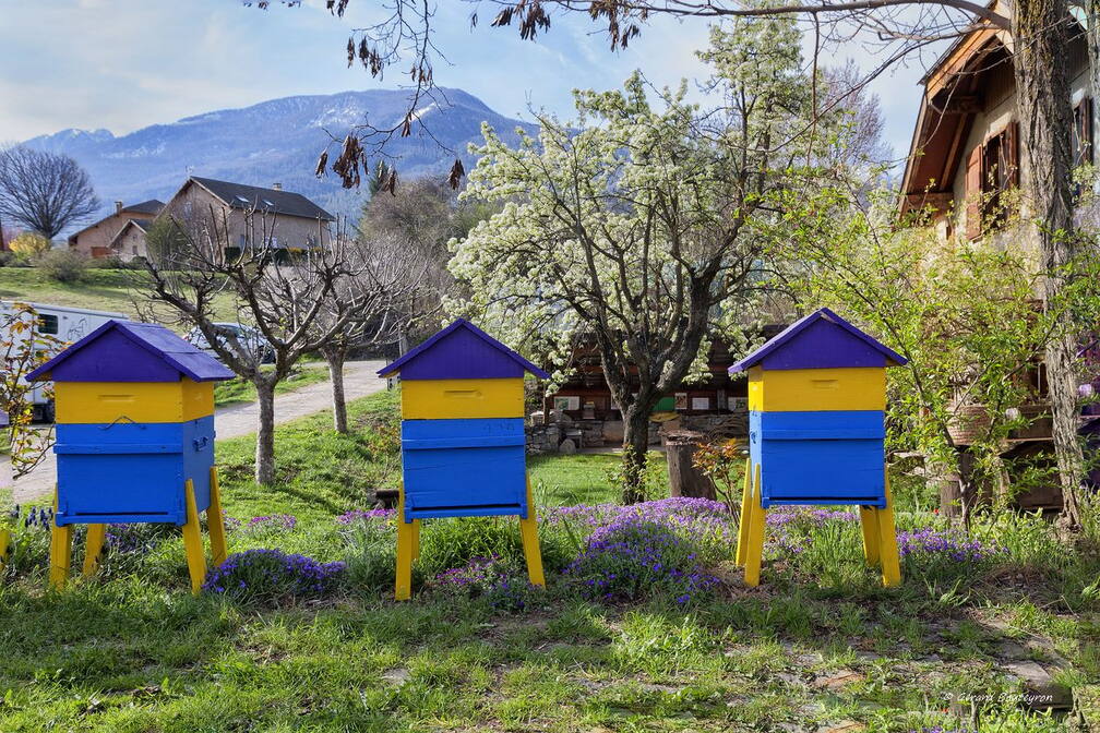 Ateliers sur le thème trois - Trois ruches Miellerie de Baratier entre Savines le lac et Embrun | GBopassions Photos