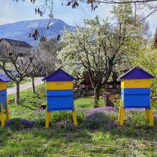 Photo : Ateliers sur le thème trois -  Trois ruches